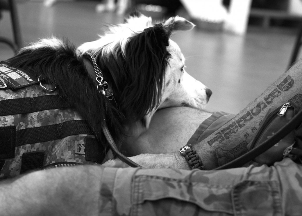 “Every night when we go to bed he does a check-in. Before I go to sleep he sits right next to me, he lays across my chest and makes sure I’m okay to go to sleep. When I wake up now, he’s right there.” US Navy veteran Dave Jennelle and his service dog Laddie.