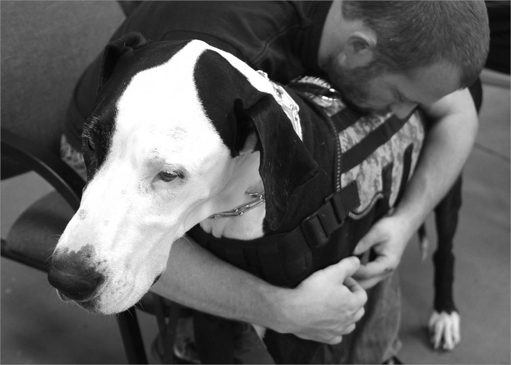 US Army veteran Bill with his service dog Colt taking a pause during class. Bill finds support and comfort with Colt. The connection between them is strong.