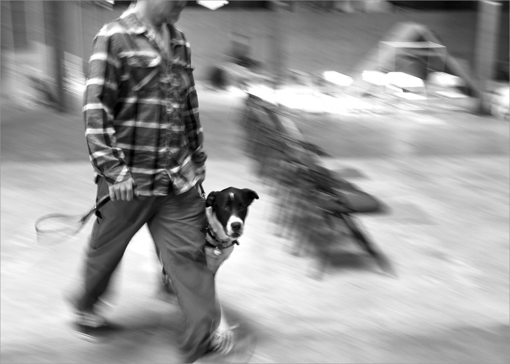 US Veteran and his service dog moving through a quick-paced exercise during training class. 