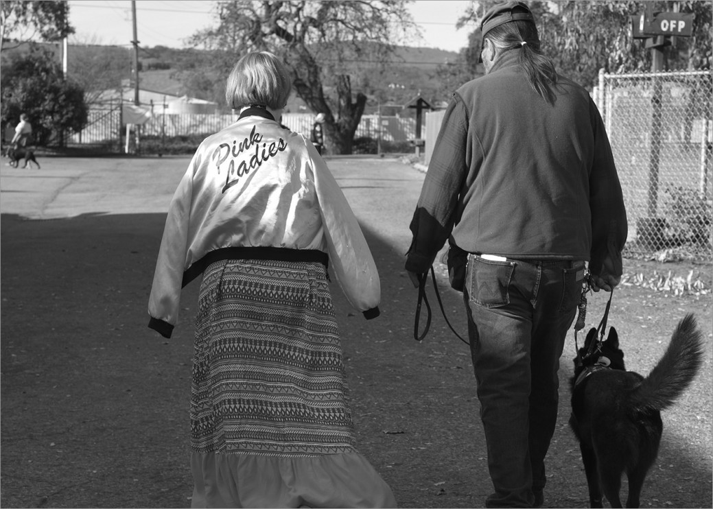 Vietnam Veteran Ed Shaffer and a young client with disabilities have become good buddies. Operation Freedom Paws also provides service dogs for children and non-veterans with disabilities.