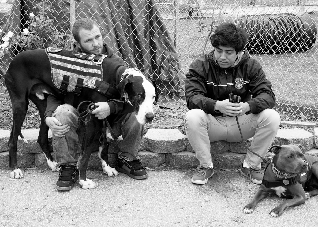 Two veterans, a soldier and a Marine, on a break from service dog training. There is a connection and camaraderie between the two servicemen as they have shared experiences in war. Quiet time with their dogs is comforting and helps keep them focused in the moment. 