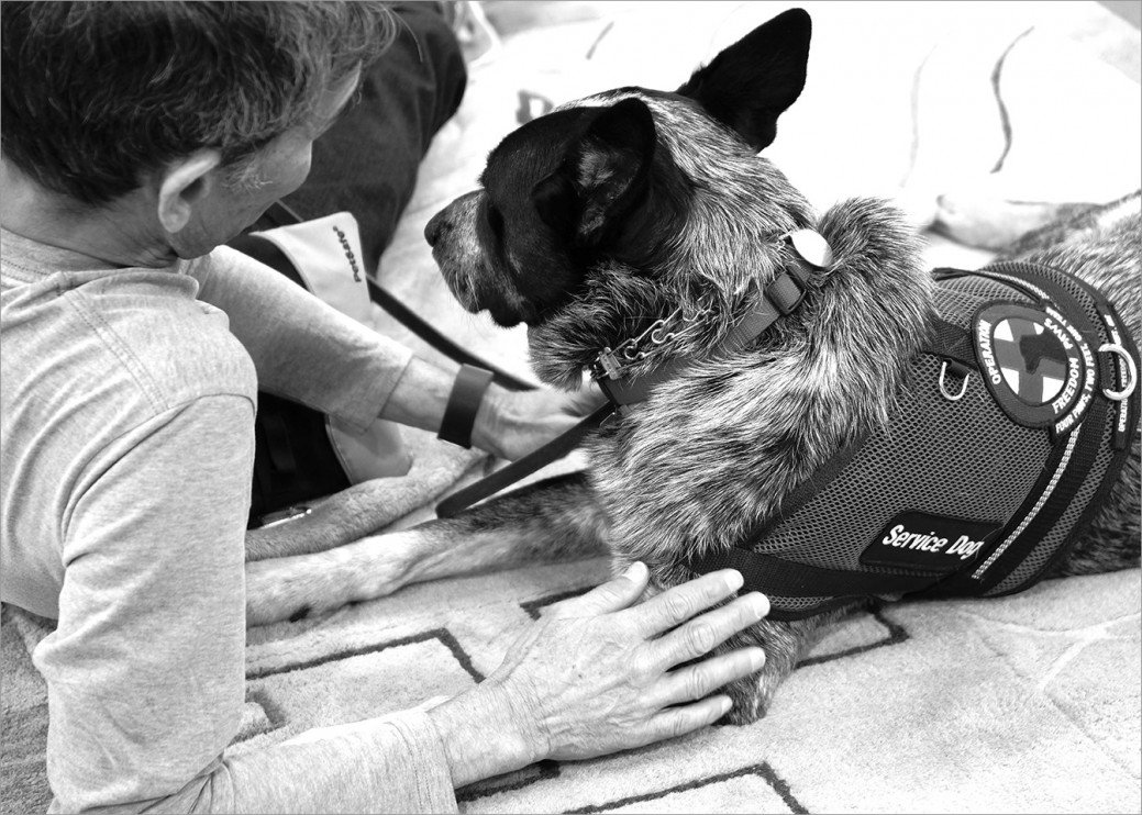 US Army veteran Steve Loy served in the Vietnam War. He was "welcomed home" to jeers and name calling, like so many other Vietnam Vets. For years he lived with post-traumatic stress and ailments from Agent Orange before being diagnosed. His service dog Merlin and their partnership has been life changing.