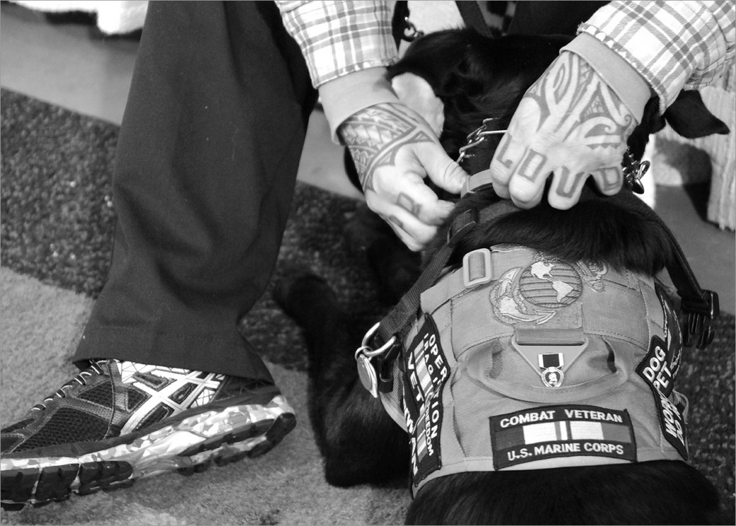 US Marine Corps veteran Emilio Gallego adjusts the collar of his service dog Samson. They are together 24/7. Emilio is engaging more with people when they go places and he says it’s good for advocating too. Many people don’t understand the benefits service dogs provide for people with “hidden wounds,” such as PTSD or Traumatic Brain Injury.