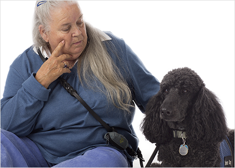 Heal! Veterans & Their Service Dogs